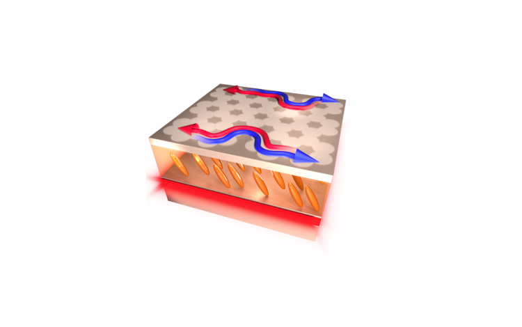 Grafika przedstawia przekrój ciekłego kryształu