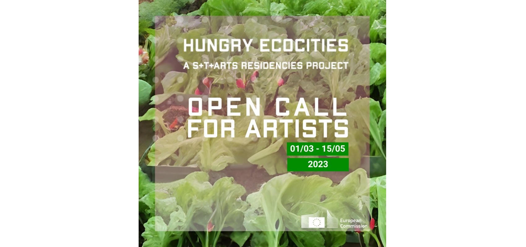 Baner informacyjny: na tle grządek sałaty napis: Hungry EcoCities, Open calls for Artists
