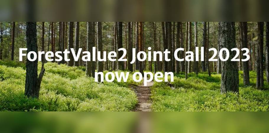 Dróżka biegnąca pośród drzew w lesie, na niej napis: ForestValue2 Joint Call 2023 now open